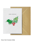 Seed Christmas Cards