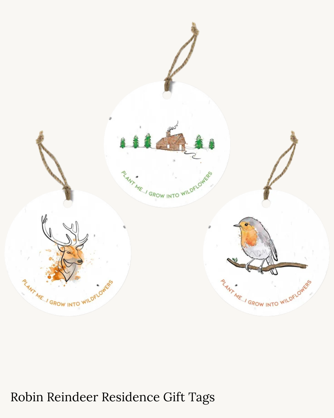 Seed Christmas Tags