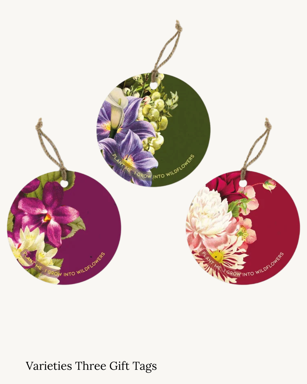Seed Christmas Tags